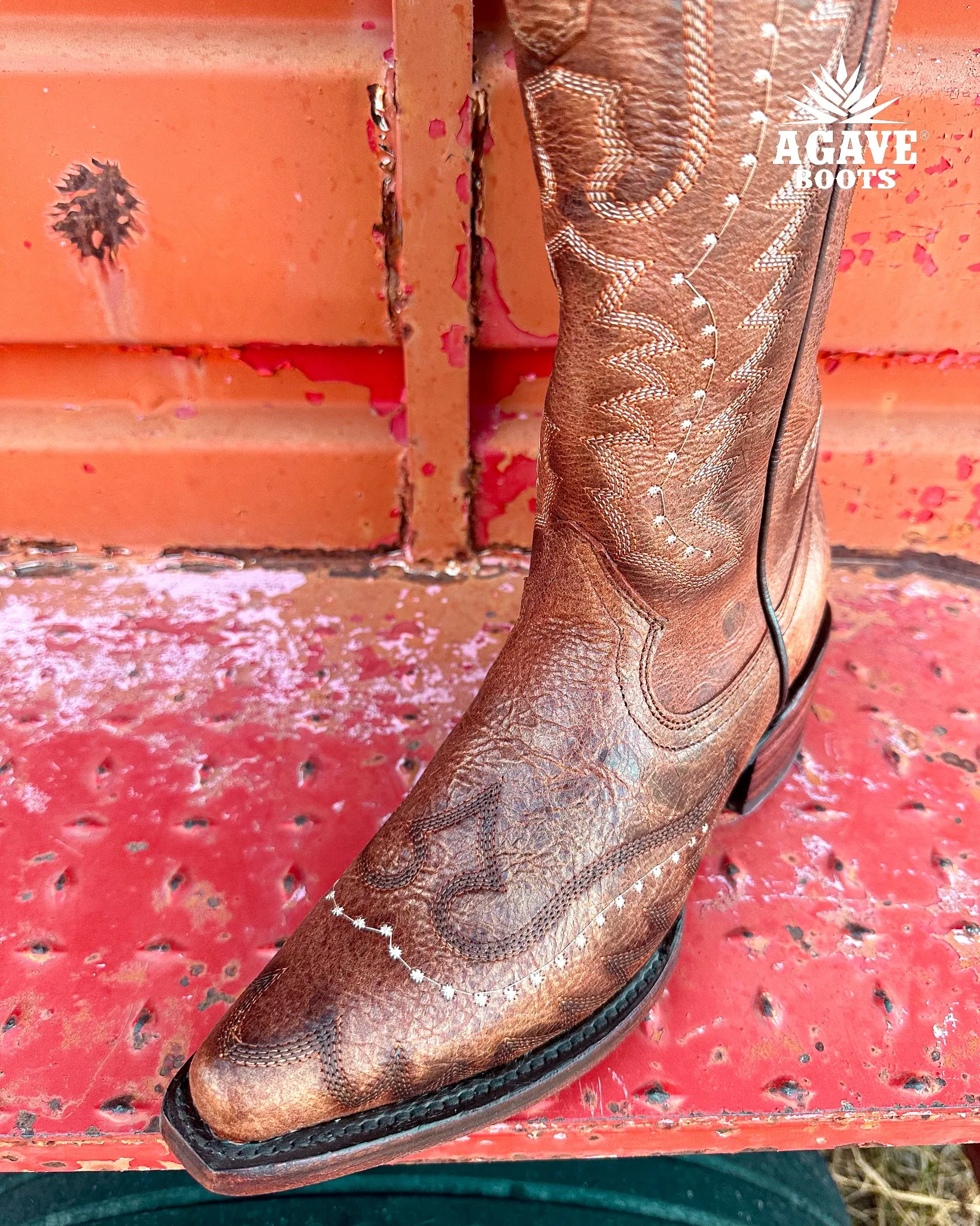 ALICE COPPER | WOMEN TALL COWBOY BOOTS