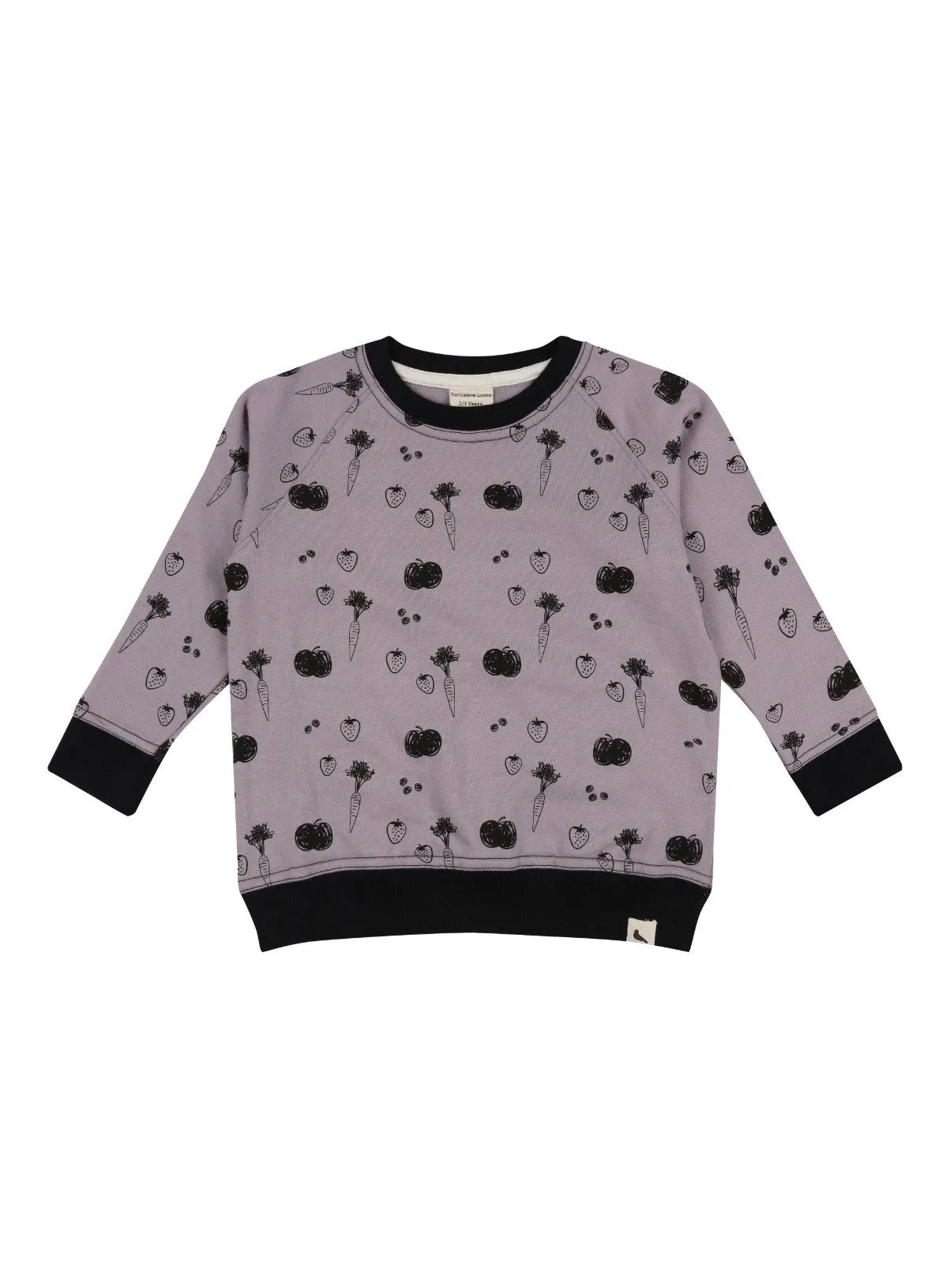 Buy TURTLEDOVE LONDON Fruity Sweatshirt 1-2 Years | Jumpers and hoodies | Tu