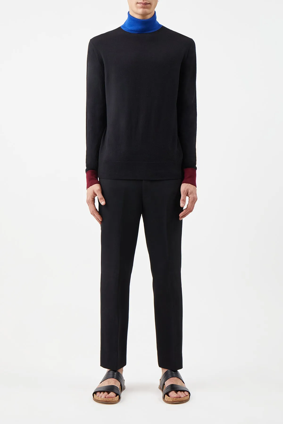 Jermaine Knit Turtleneck in Tricolor Merino Wool