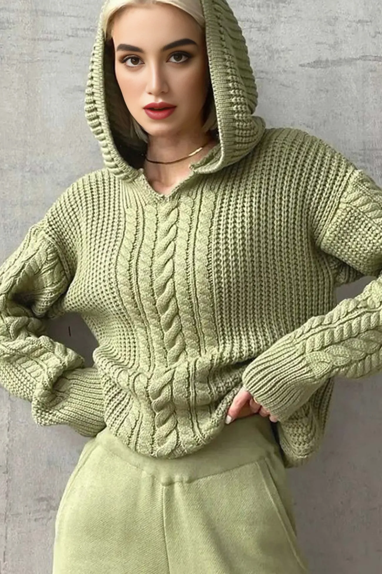 Solid Cable Knit Hoodie Sweater