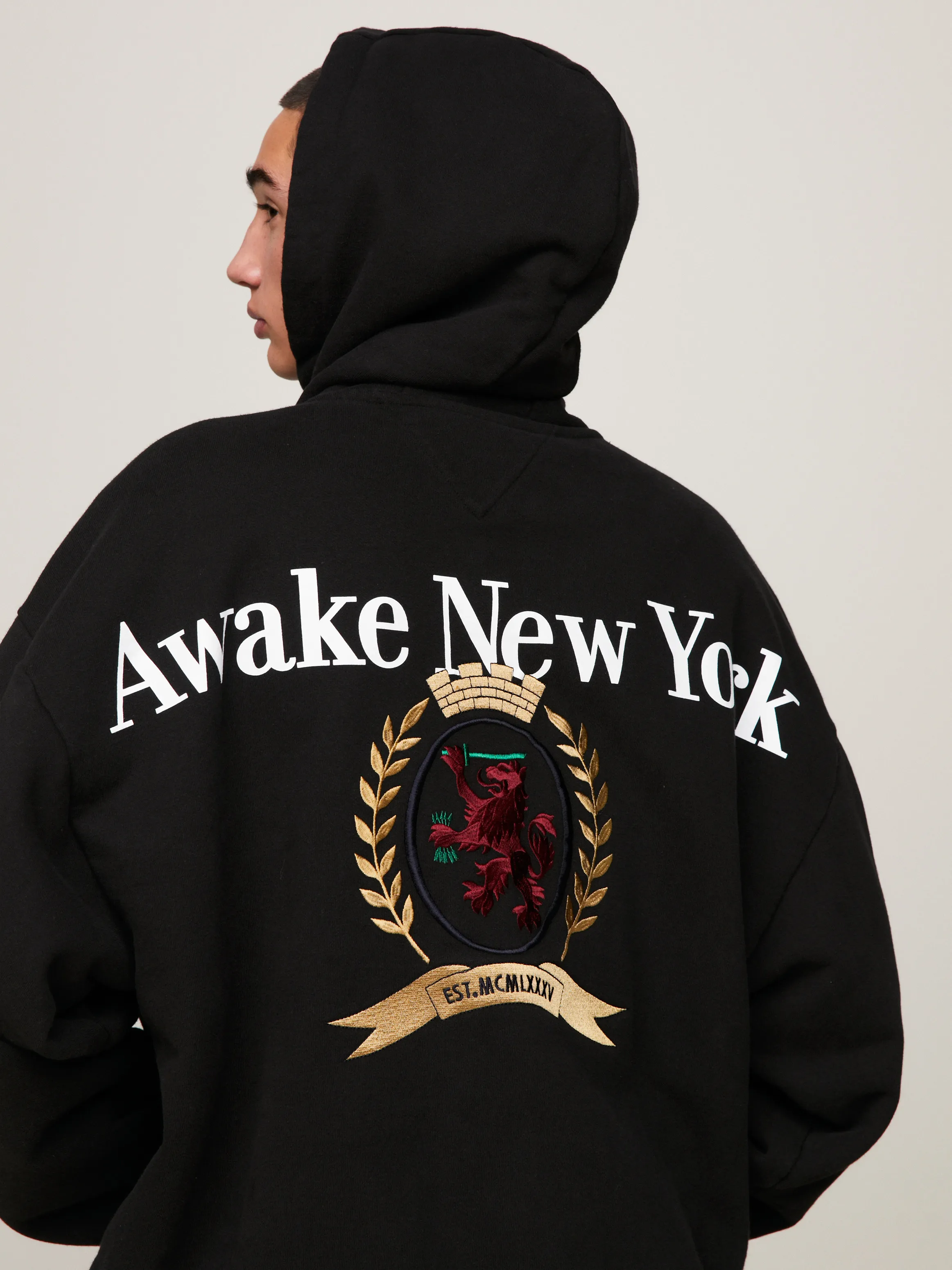 Tommy x Awake NY Oversized Logo Relaxed Hoodie | Sweatshirts & Hoodies | Tommy Jeans